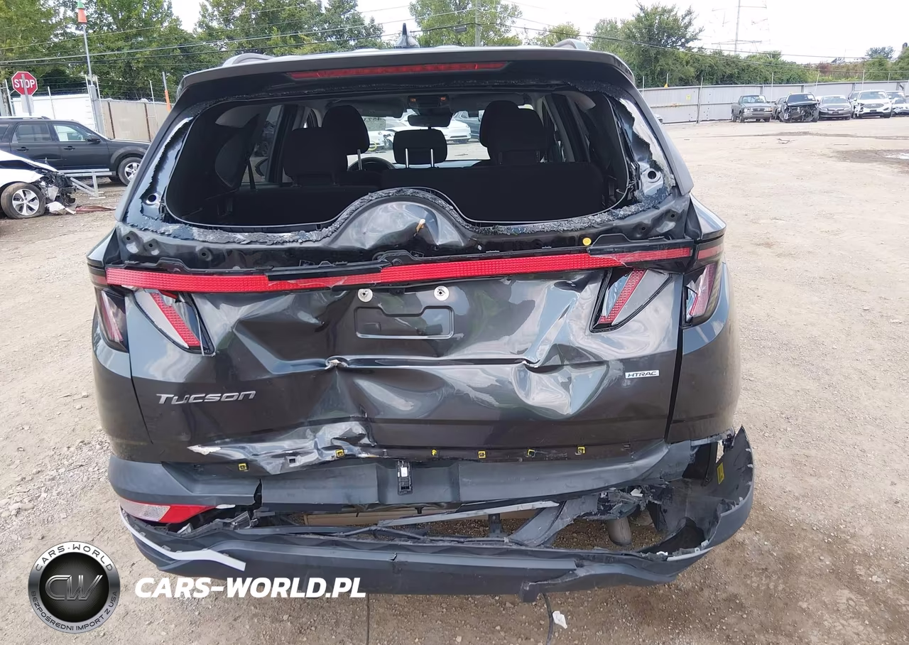 2023 Hyundai Tucson Sel VIN:5NMJBCAE6PH195056 - 6