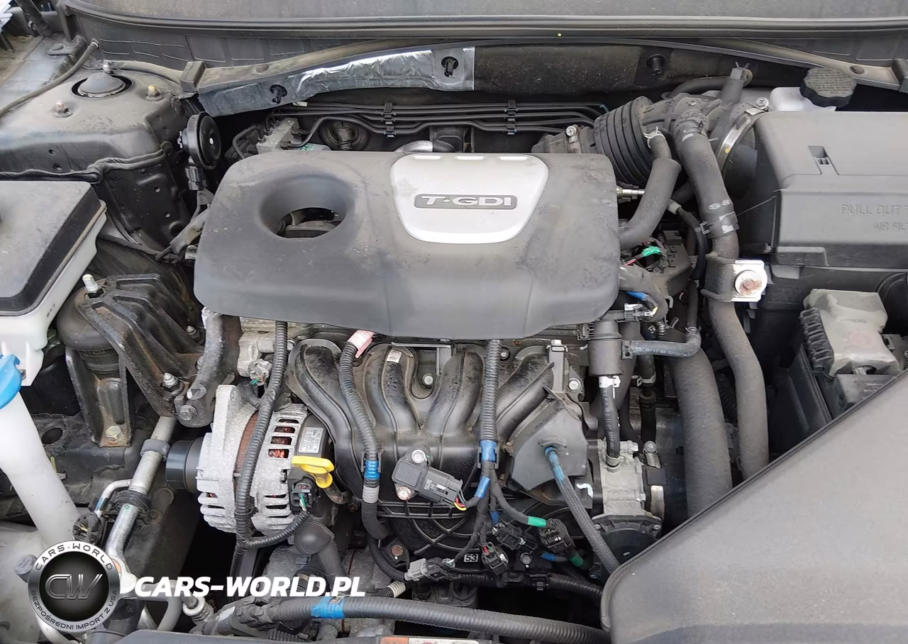 2019 Hyundai Sonata Eco VIN:5NPE24AA0KH757002 - 10