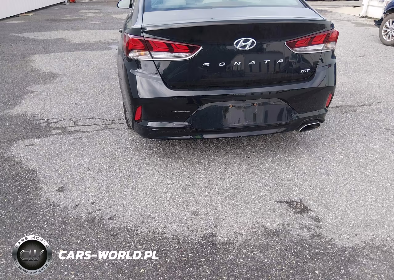 2019 Hyundai Sonata Eco VIN:5NPE24AA0KH757002 - 12
