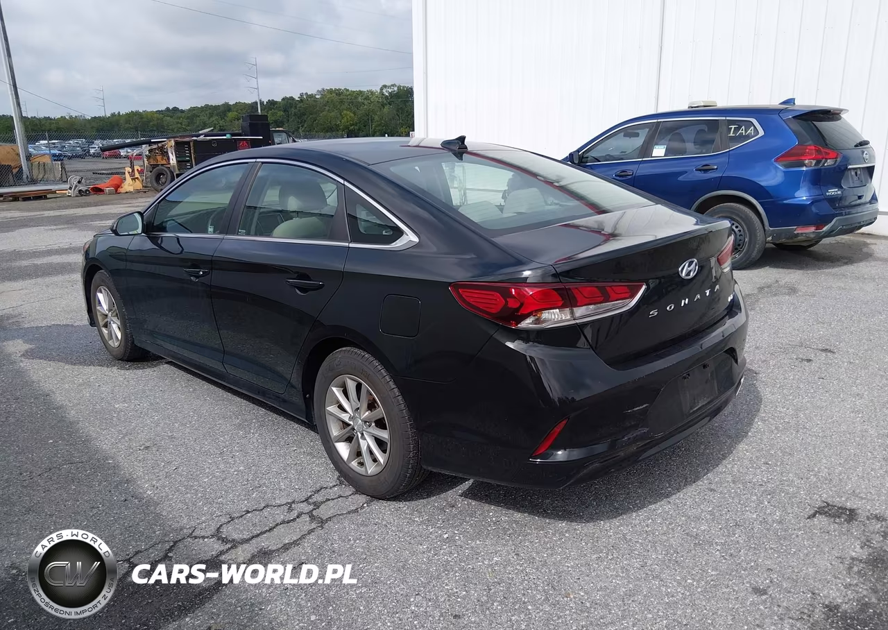 2019 Hyundai Sonata Eco VIN:5NPE24AA0KH757002 - 3