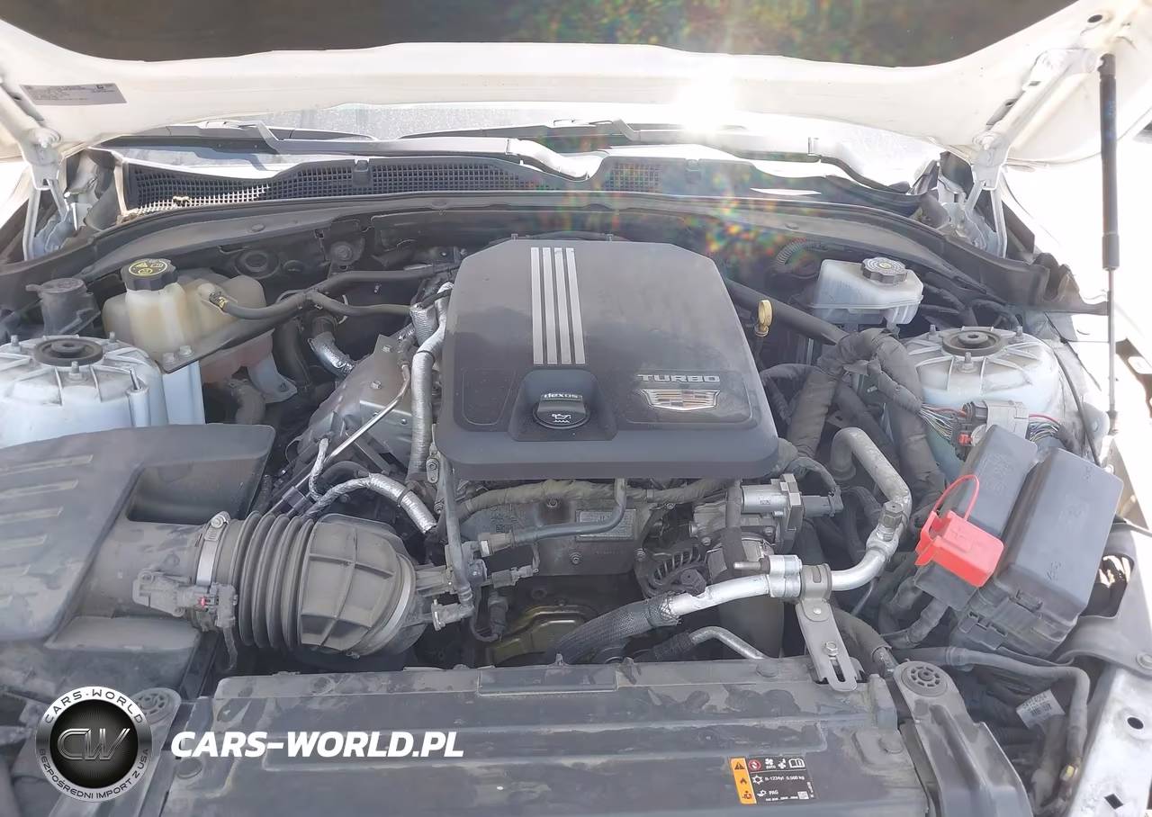 2021 Cadillac Ct4 Luxury VIN:1G6DJ5RK1M0120429 - 10
