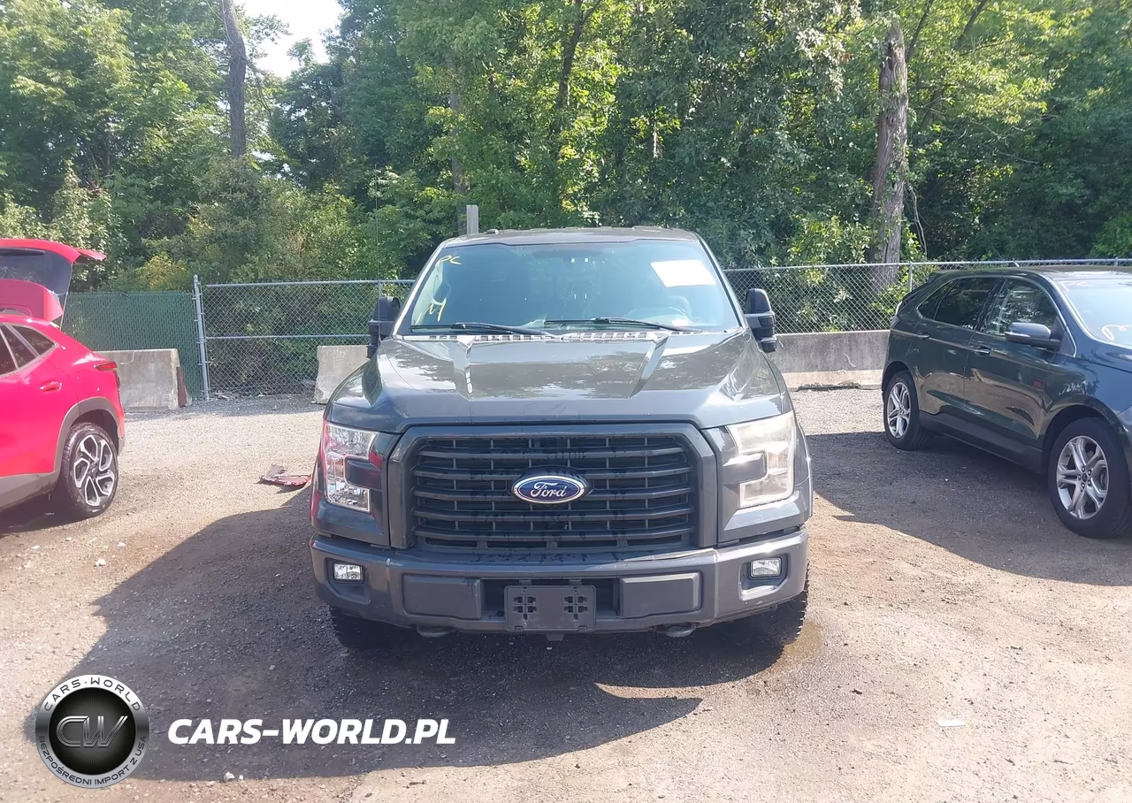 2016 Ford F-150 Xlt VIN:1FTFW1EG5GKF61975 - 12