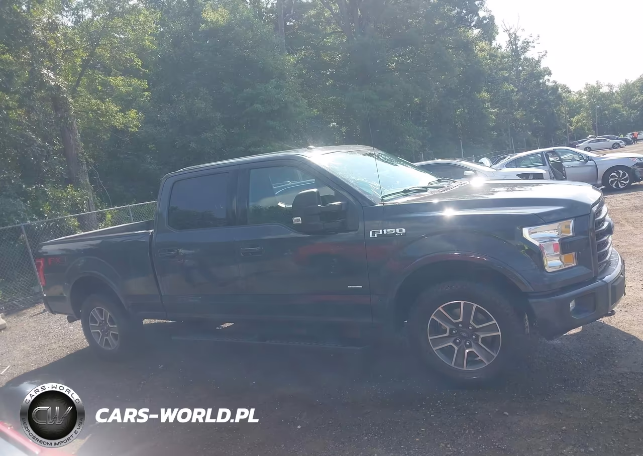 2016 Ford F-150 Xlt VIN:1FTFW1EG5GKF61975 - 13