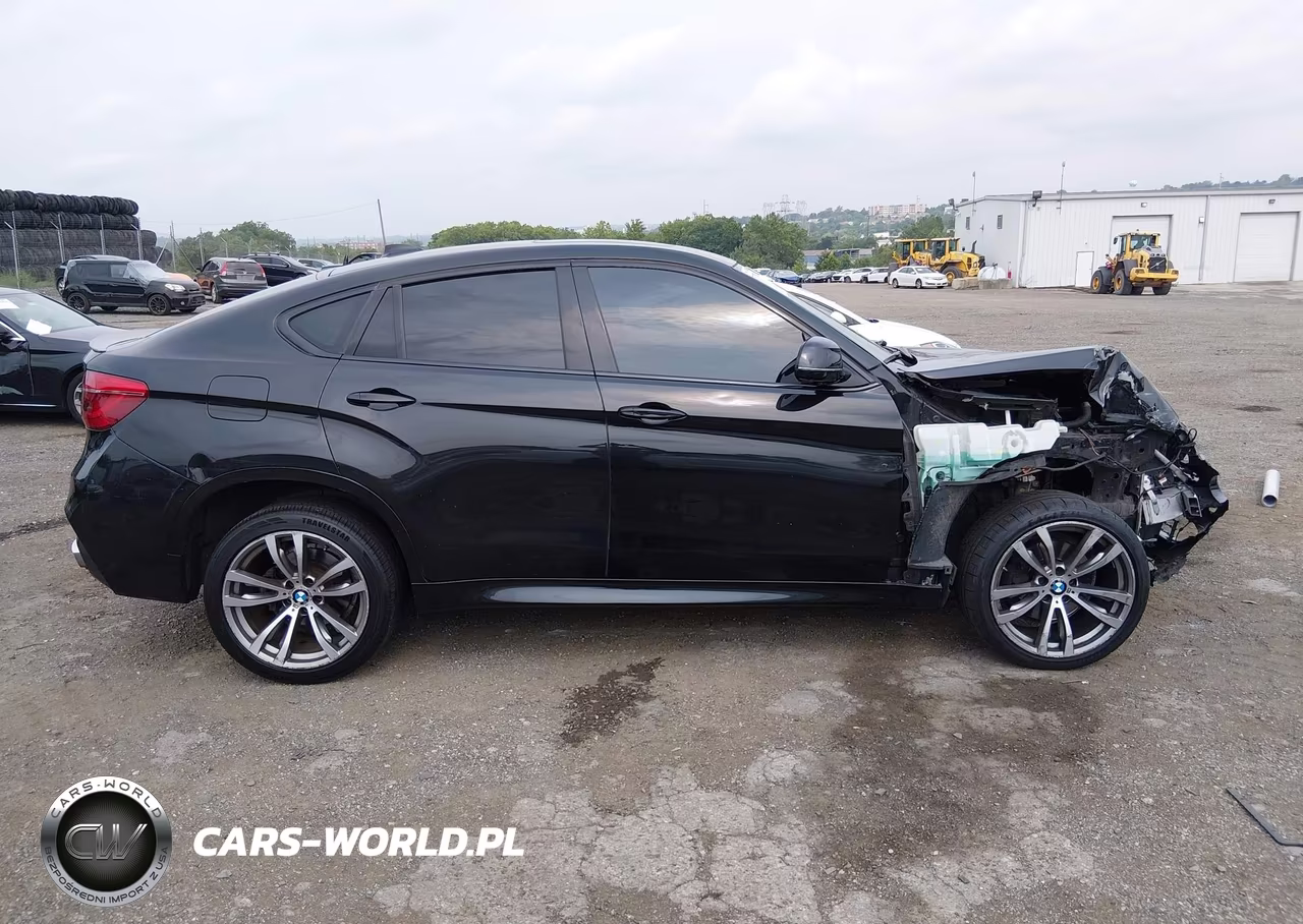 2016 BMW X6 Sdrive35I VIN:5UXKU0C5XG0F93415 - 13