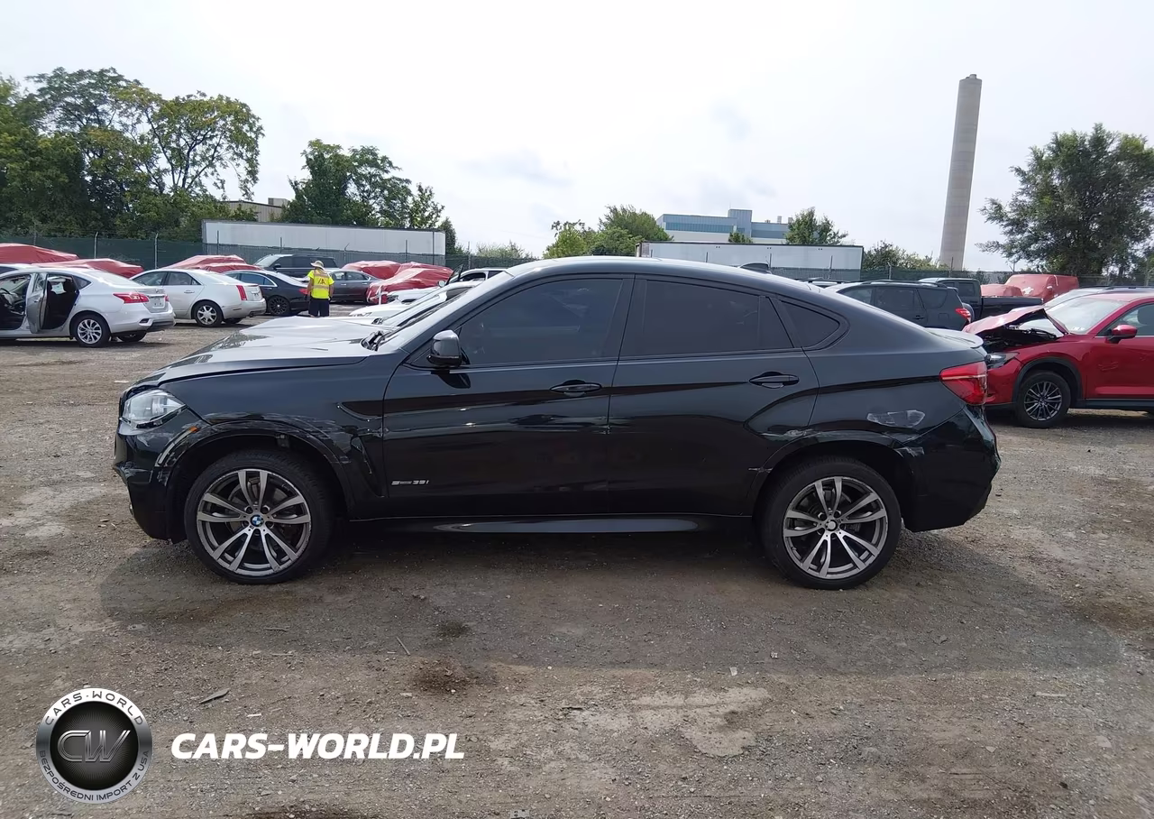 2016 BMW X6 Sdrive35I VIN:5UXKU0C5XG0F93415 - 14