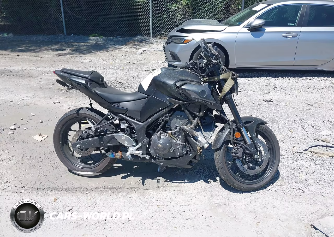 2025 Yamaha Mtn320 A VIN:MH3RH28EXSK003234 - 12