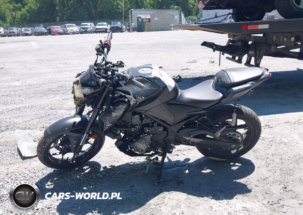 2025 Yamaha Mtn320 A VIN:MH3RH28EXSK003234 - 13