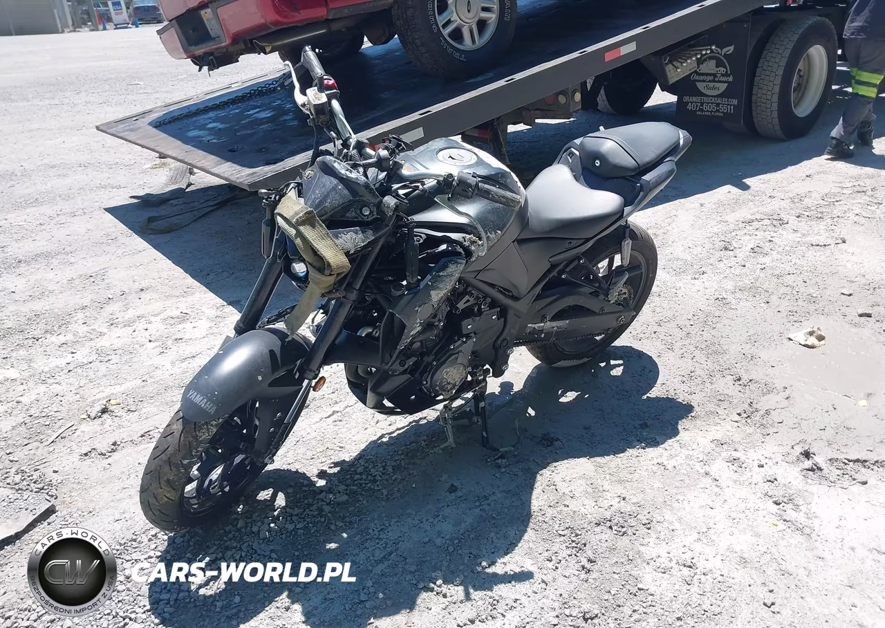 2025 Yamaha Mtn320 A VIN:MH3RH28EXSK003234 - 2