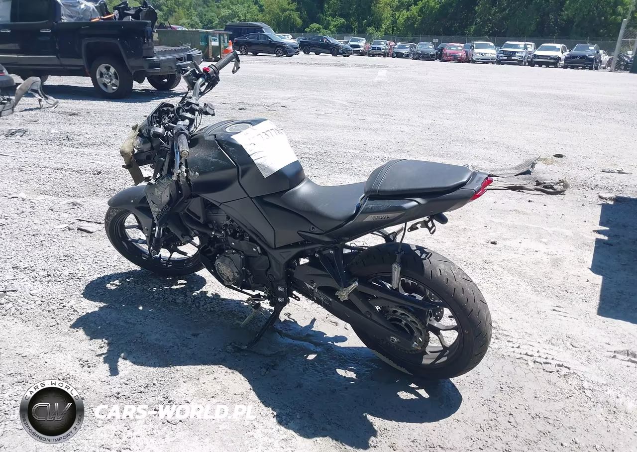 2025 Yamaha Mtn320 A VIN:MH3RH28EXSK003234 - 3