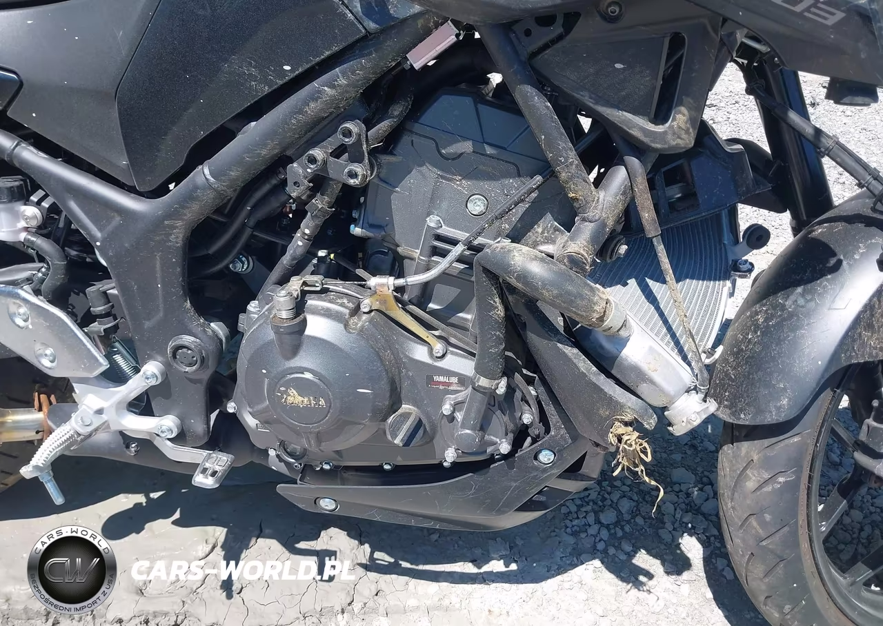 2025 Yamaha Mtn320 A VIN:MH3RH28EXSK003234 - 8