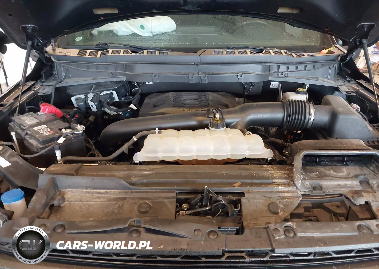 2022 Ford F-150 Tremor VIN:1FTEW1E86NFB08216 - 10
