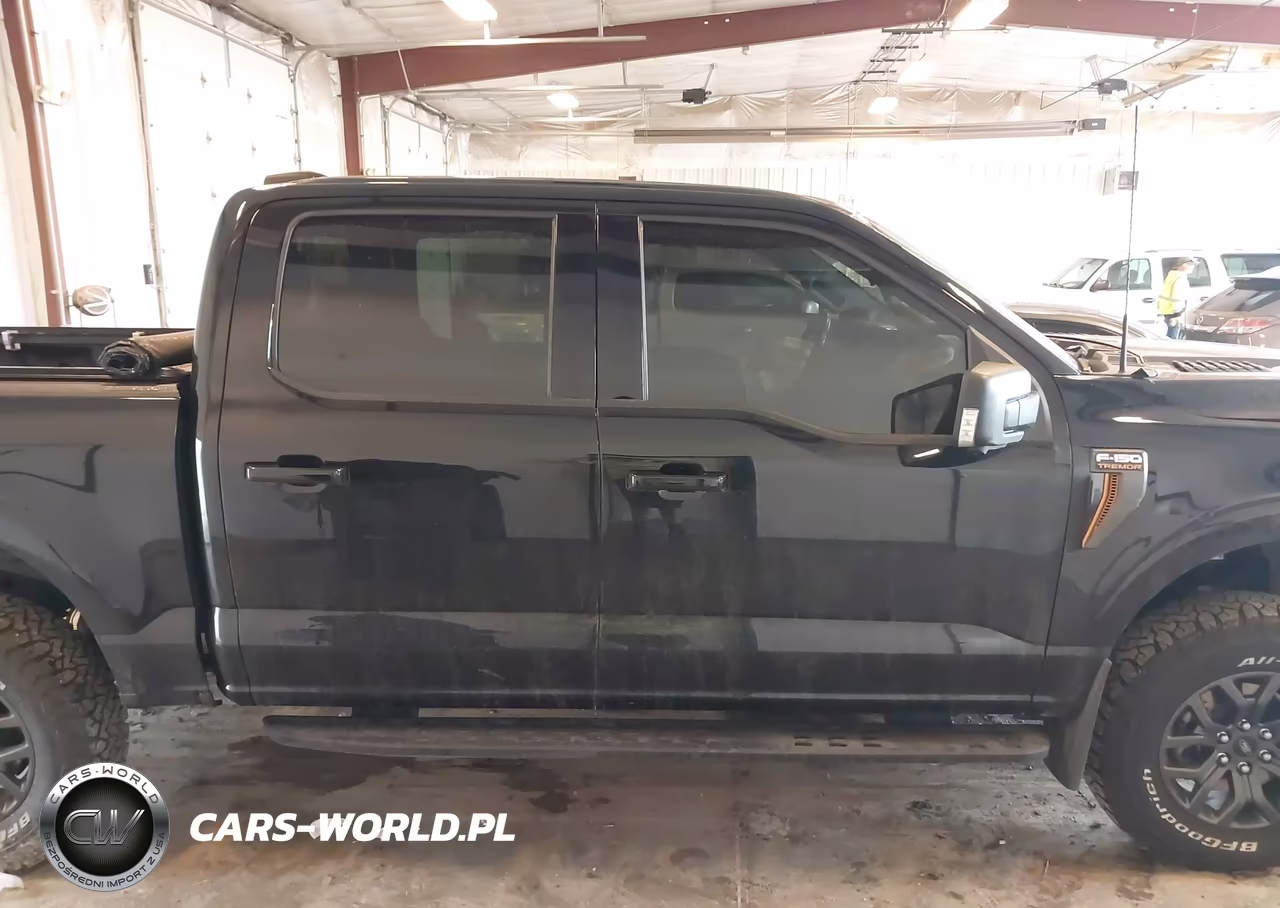 2022 Ford F-150 Tremor VIN:1FTEW1E86NFB08216 - 13
