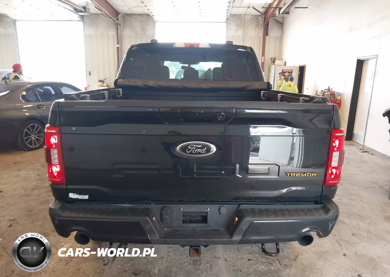 2022 Ford F-150 Tremor VIN:1FTEW1E86NFB08216 - 16
