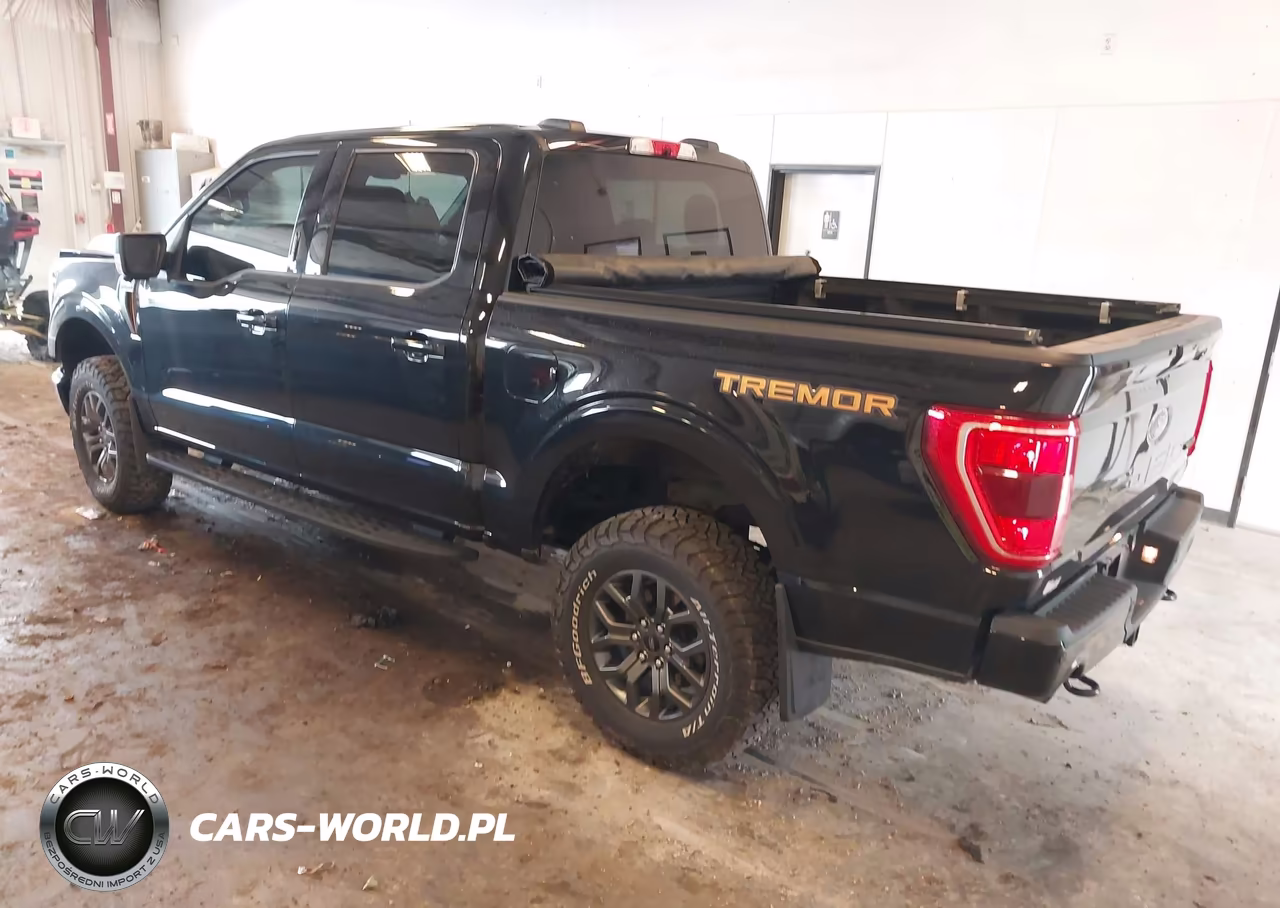 2022 Ford F-150 Tremor VIN:1FTEW1E86NFB08216 - 3