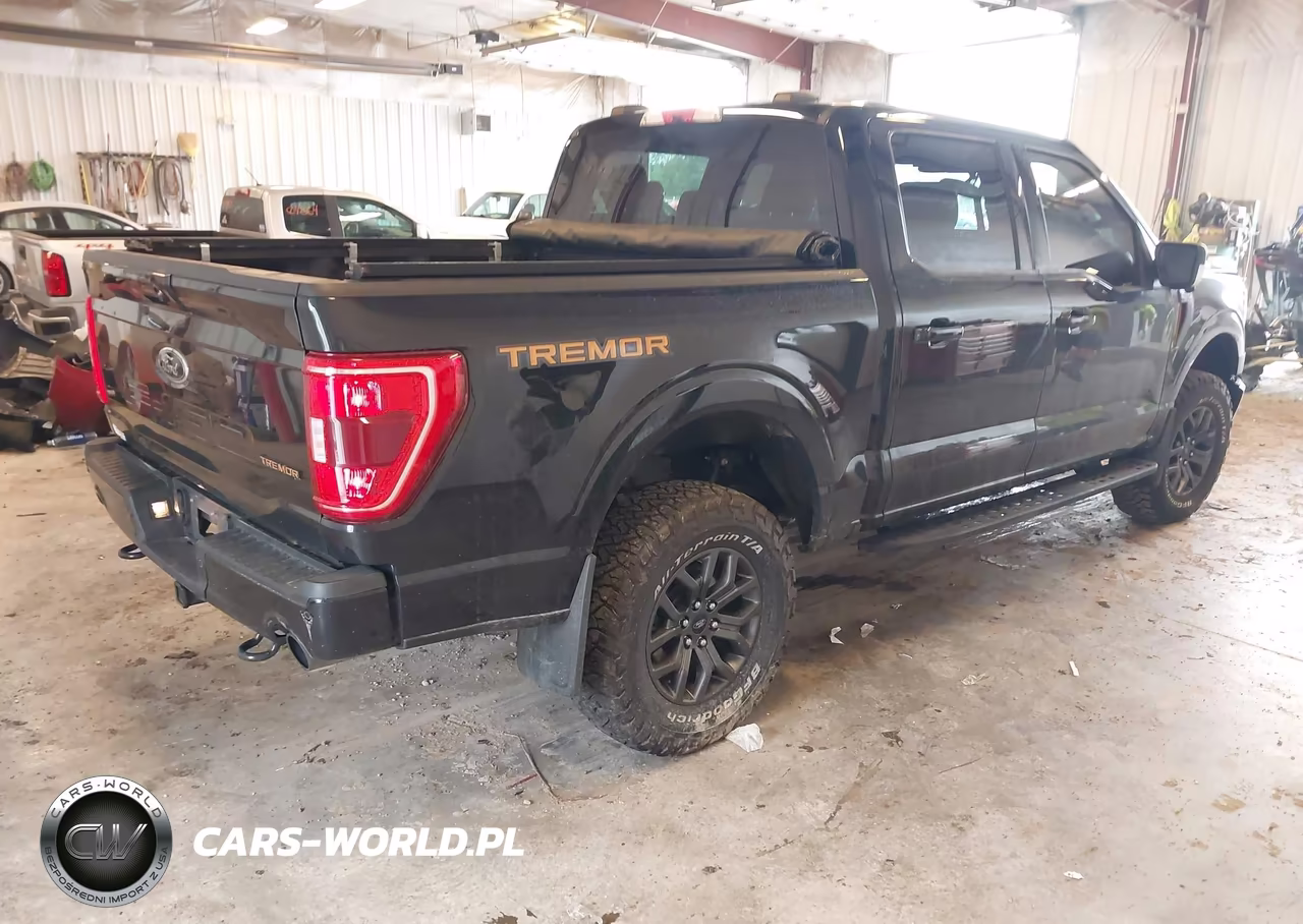 2022 Ford F-150 Tremor VIN:1FTEW1E86NFB08216 - 4