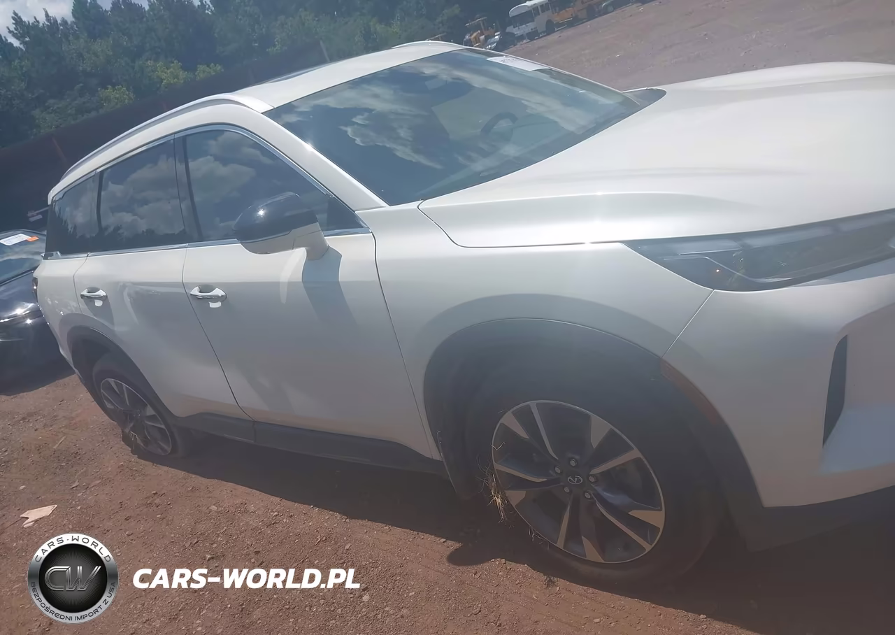 2023 Infiniti Qx60 Luxe Awd VIN:5N1DL1FS5PC374924 - 13