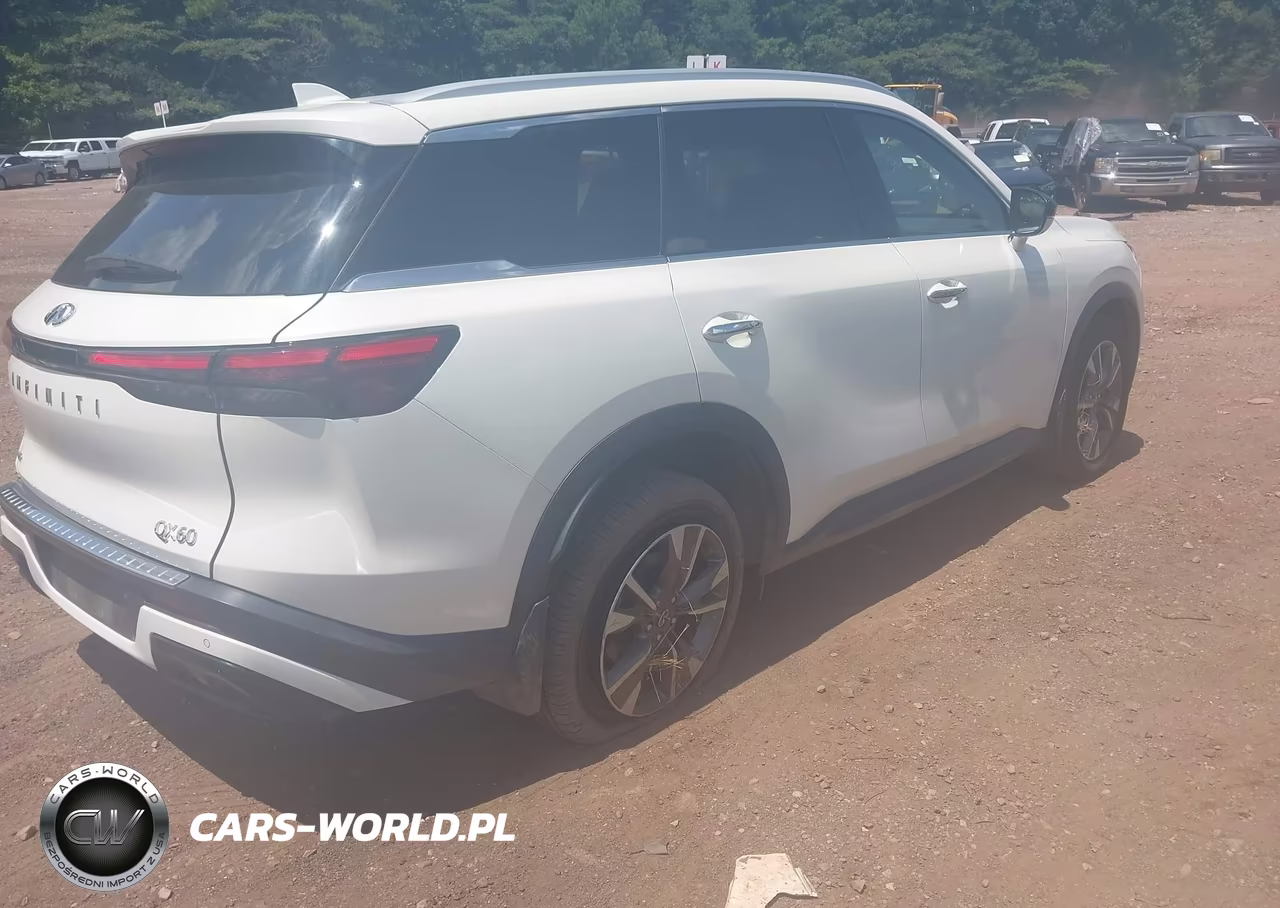 2023 Infiniti Qx60 Luxe Awd VIN:5N1DL1FS5PC374924 - 4