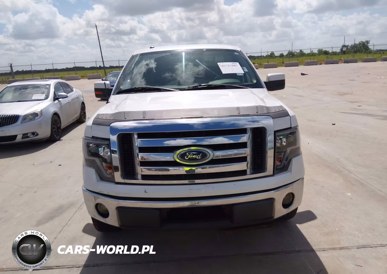 2010 Ford F-150 Fx2 Sport-Harley-Davidson-King Ranch-Lariat-Platinum-Xl-Xlt VIN:1FTFW1CV5AFD18233 - 12