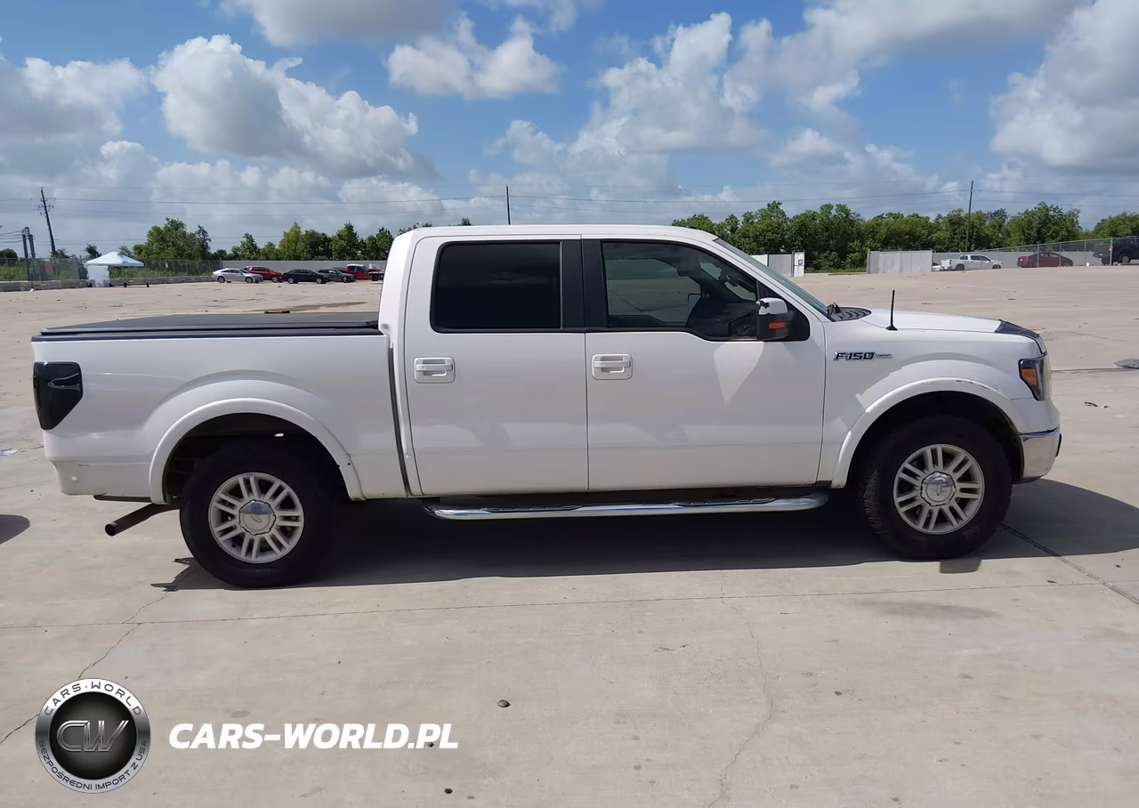 2010 Ford F-150 Fx2 Sport-Harley-Davidson-King Ranch-Lariat-Platinum-Xl-Xlt VIN:1FTFW1CV5AFD18233 - 13
