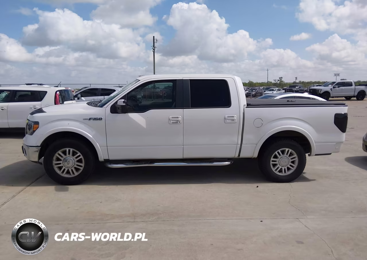 2010 Ford F-150 Fx2 Sport-Harley-Davidson-King Ranch-Lariat-Platinum-Xl-Xlt VIN:1FTFW1CV5AFD18233 - 14