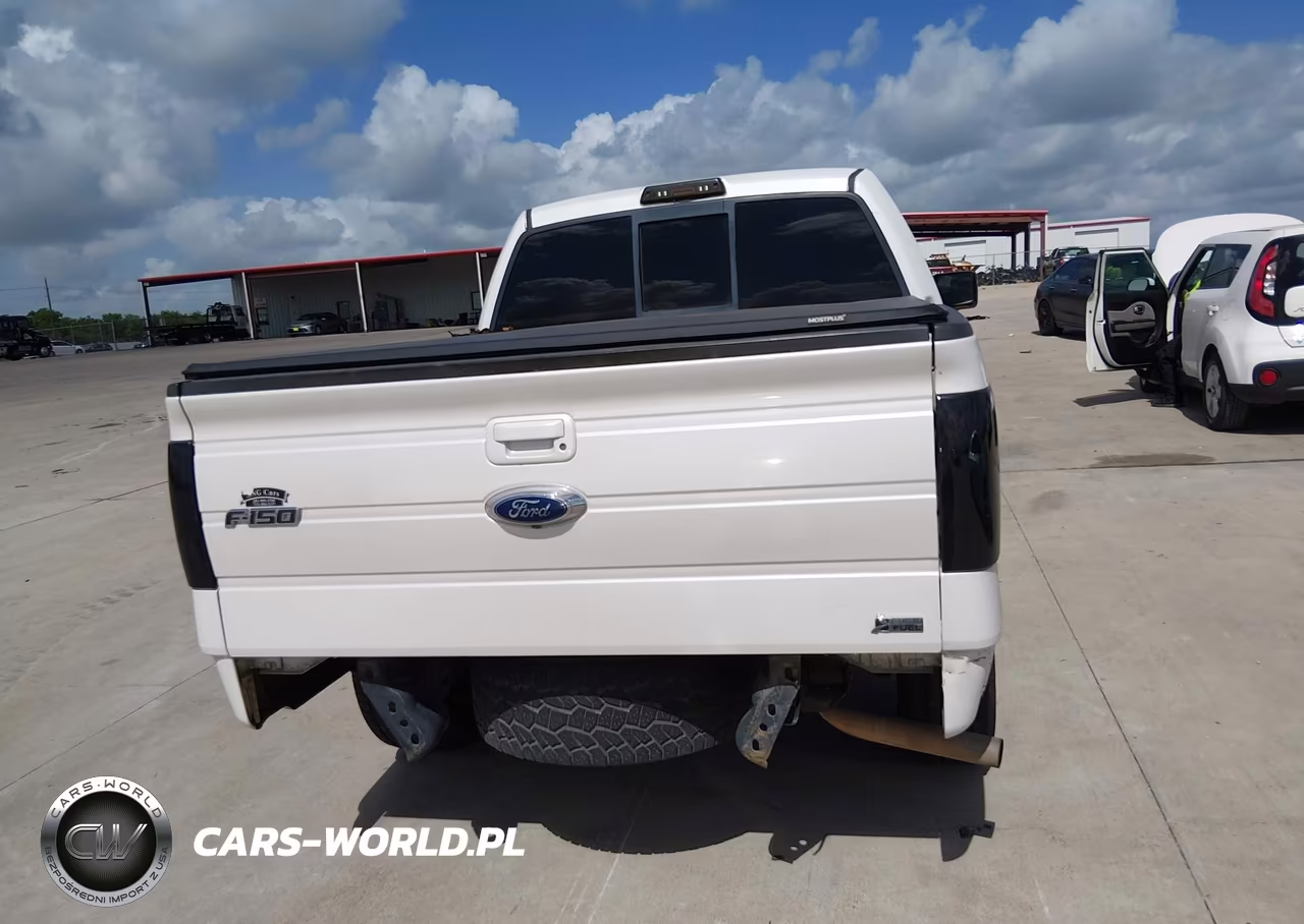 2010 Ford F-150 Fx2 Sport-Harley-Davidson-King Ranch-Lariat-Platinum-Xl-Xlt VIN:1FTFW1CV5AFD18233 - 16
