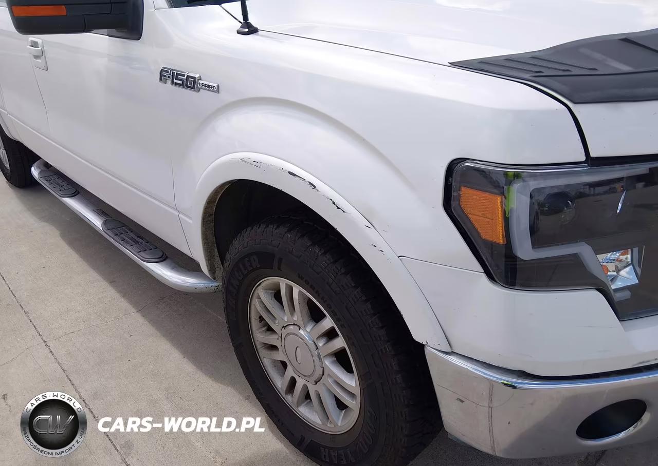 2010 Ford F-150 Fx2 Sport-Harley-Davidson-King Ranch-Lariat-Platinum-Xl-Xlt VIN:1FTFW1CV5AFD18233 - 6