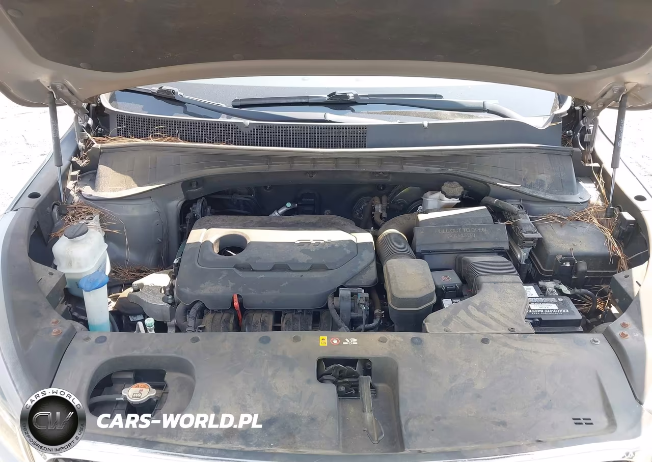 2018 Kia Sorento 2.4L L VIN:5XYPG4A39JG412066 - 10