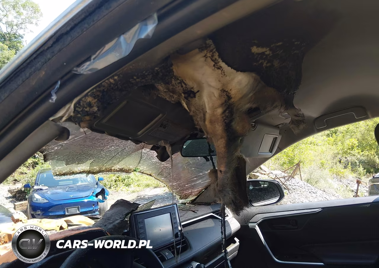 2020 Toyota Rav4 Le VIN:2T3F1RFV0LC130831 - 15
