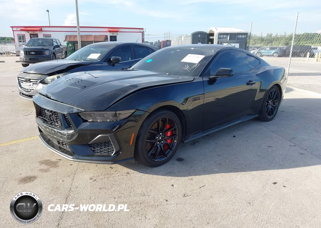 2024 Ford Mustang Gt Fastback VIN:1FA6P8CF8R5431356 - 2