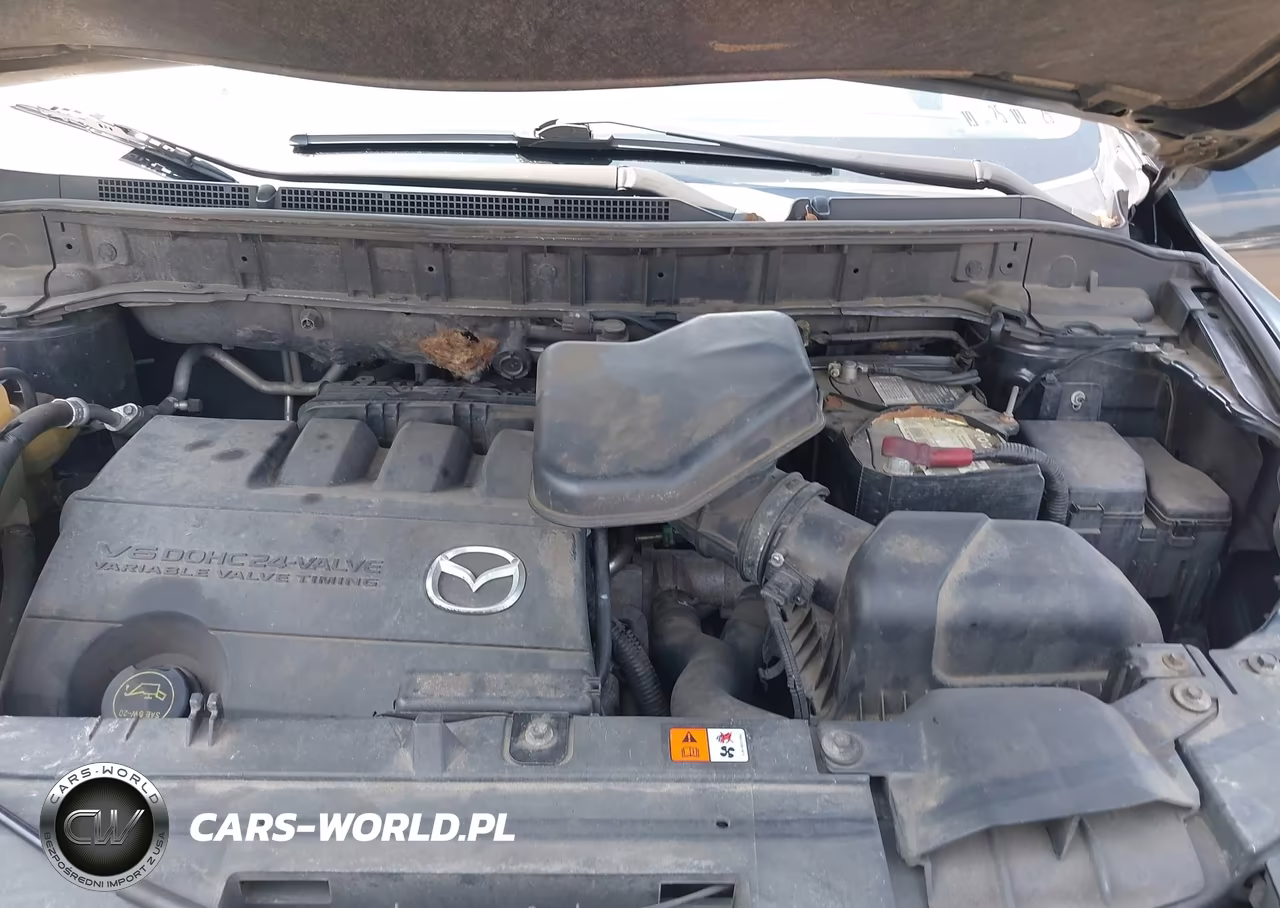 2014 Mazda Cx-9 Sport VIN:JM3TB2BV6E0431971 - 10