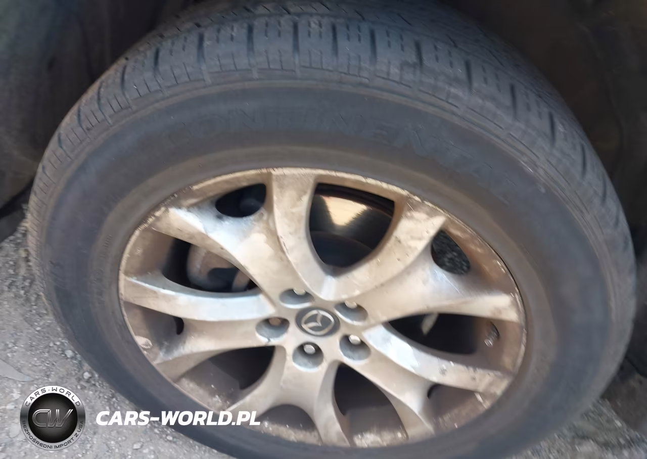 2014 Mazda Cx-9 Sport VIN:JM3TB2BV6E0431971 - 12