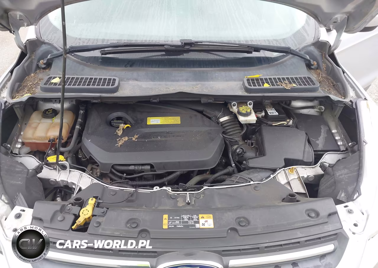 2014 Ford Escape Se VIN:1FMCU9GX9EUB85976 - 10