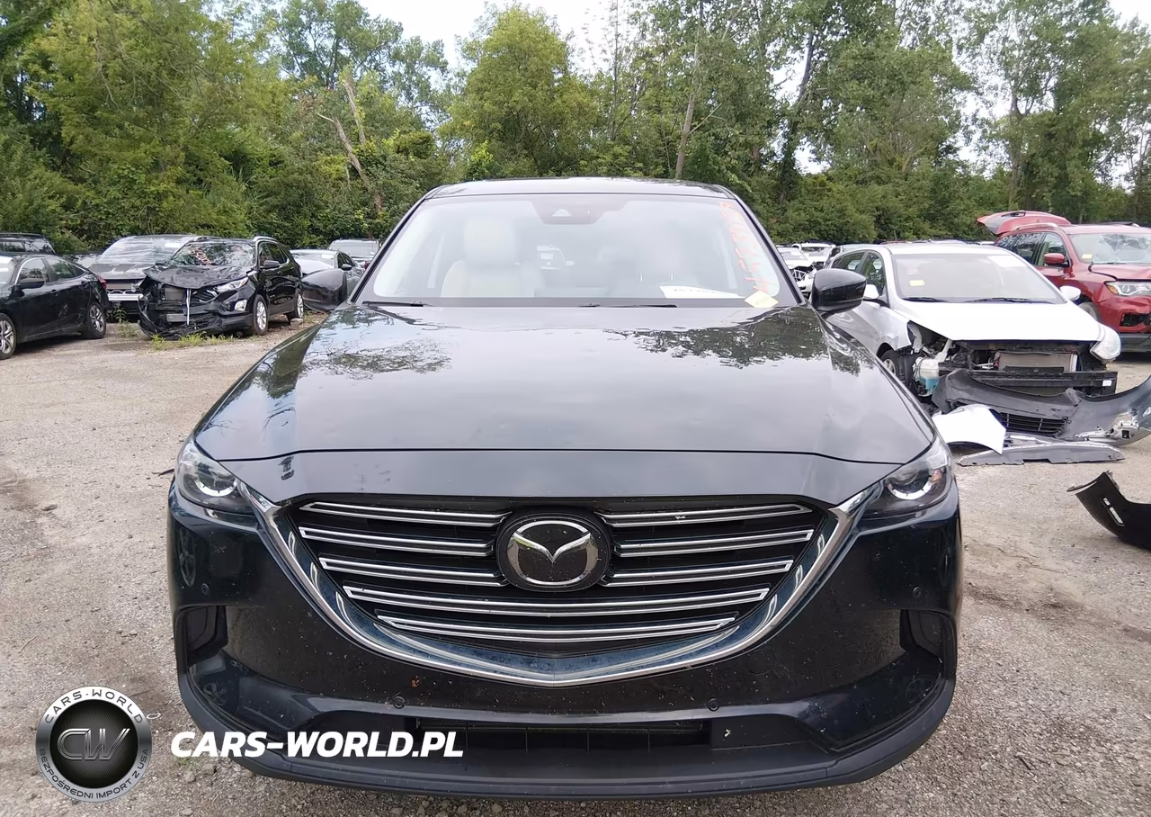 2021 Mazda Cx-9 Touring VIN:JM3TCBCY3M0511359 - 12