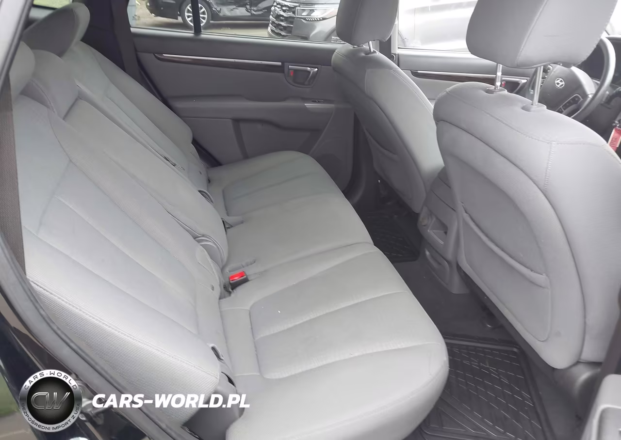 2010 Hyundai Santa Fe Gls VIN:5NMSG3AB7AH364309 - 8