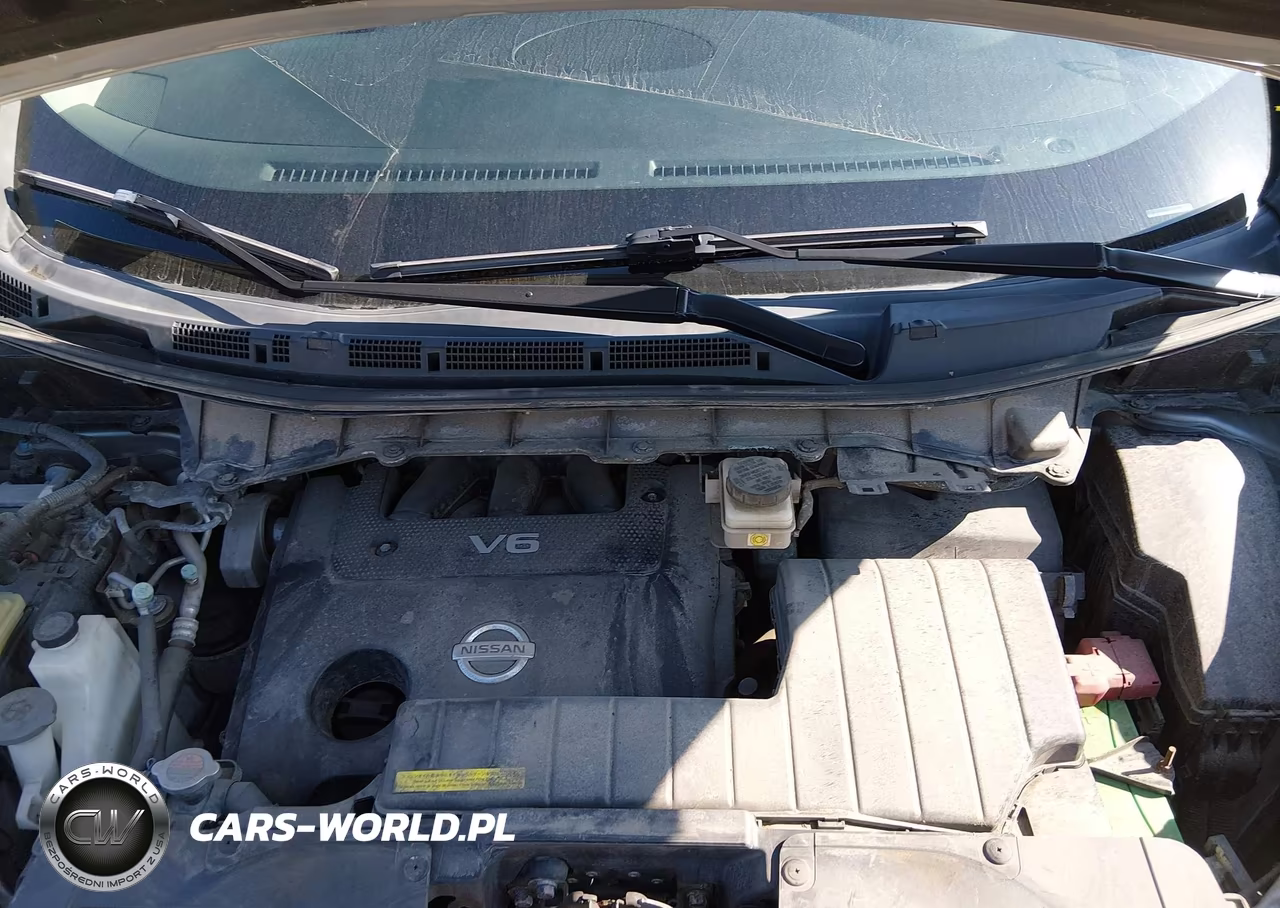 2016 Nissan Quest Platinum-S-Sl-Sv VIN:JN8AE2KP8G9150850 - 10
