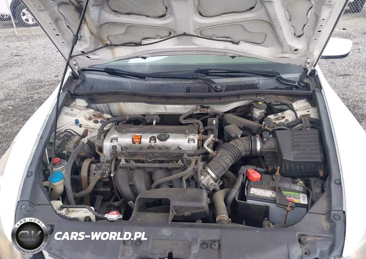 2010 Honda Accord 2.4 Lx VIN:1HGCP2F30AA087689 - 10