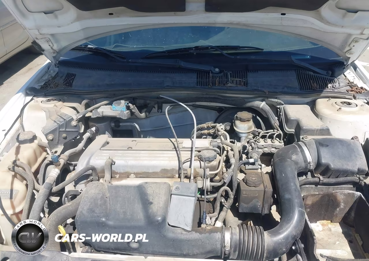 2004 Chevrolet Cavalier VIN:1G1JC52FX47286116 - 10