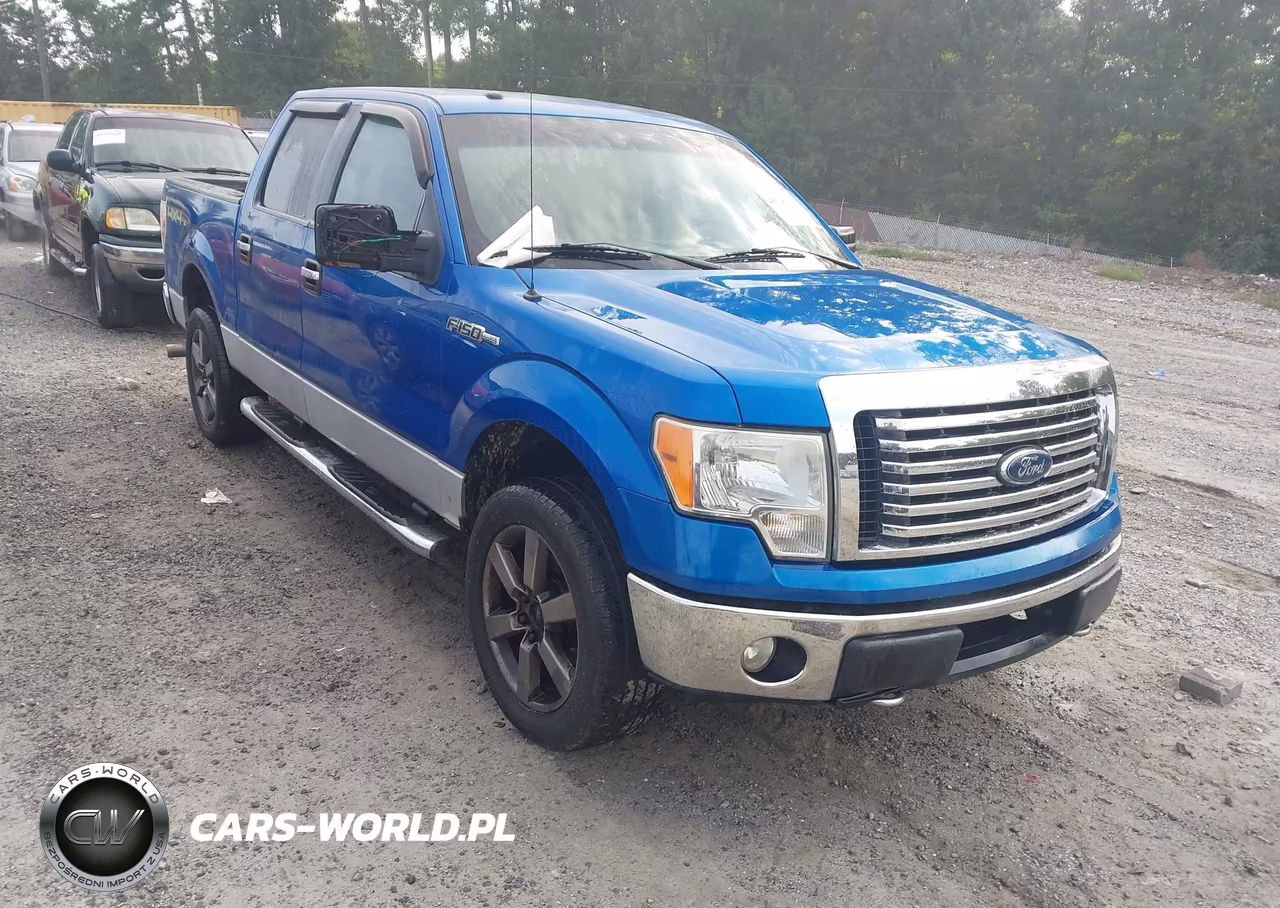 2010 Ford F-150 Xl-Xlt
