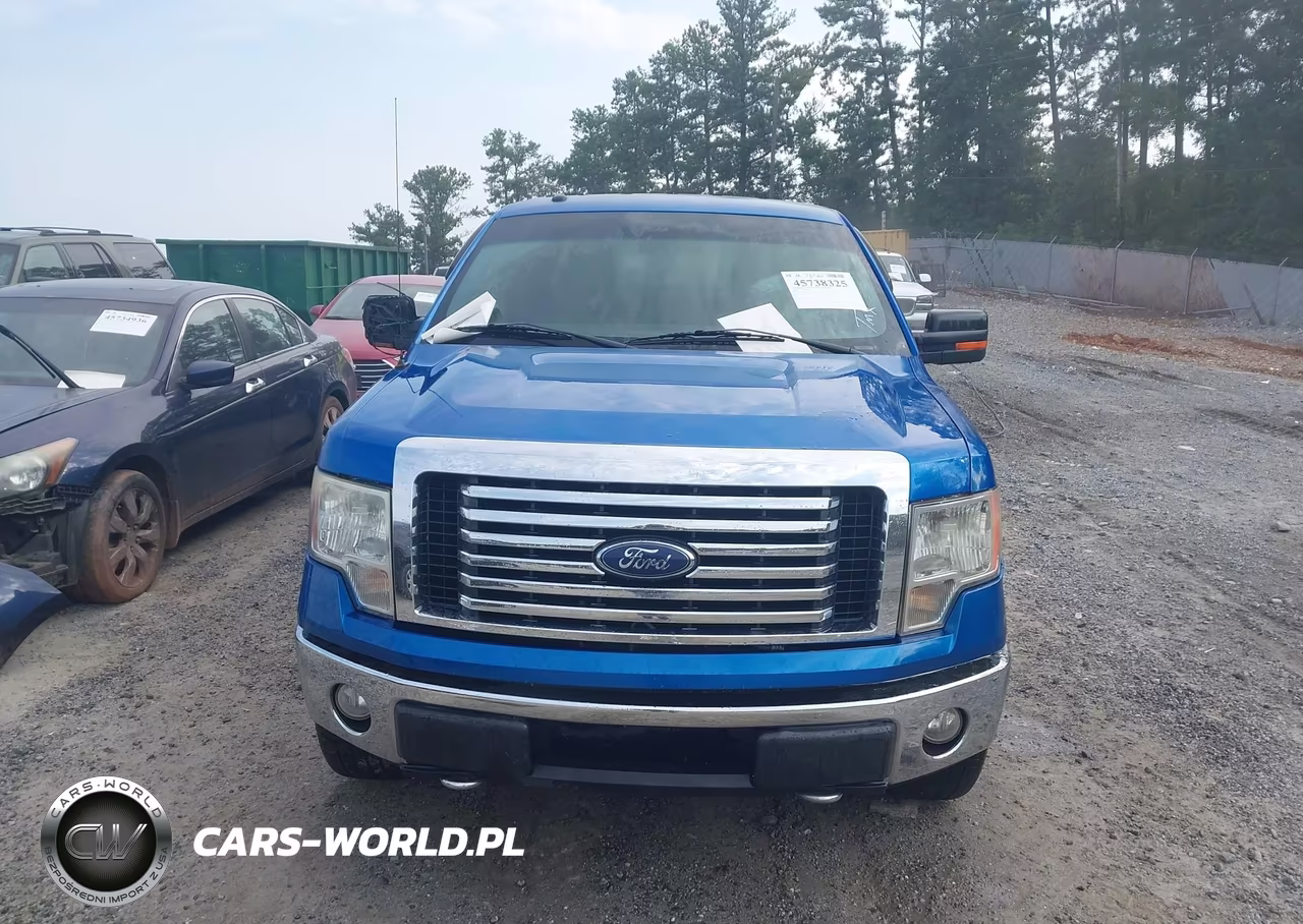 2010 Ford F-150 Xl-Xlt VIN:1FTEW1E86AFD49316 - 12