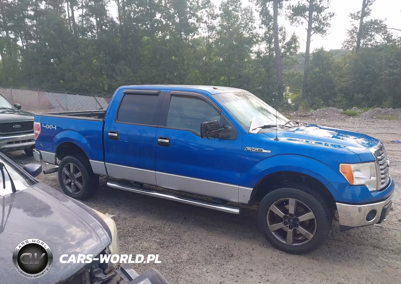 2010 Ford F-150 Xl-Xlt VIN:1FTEW1E86AFD49316 - 13