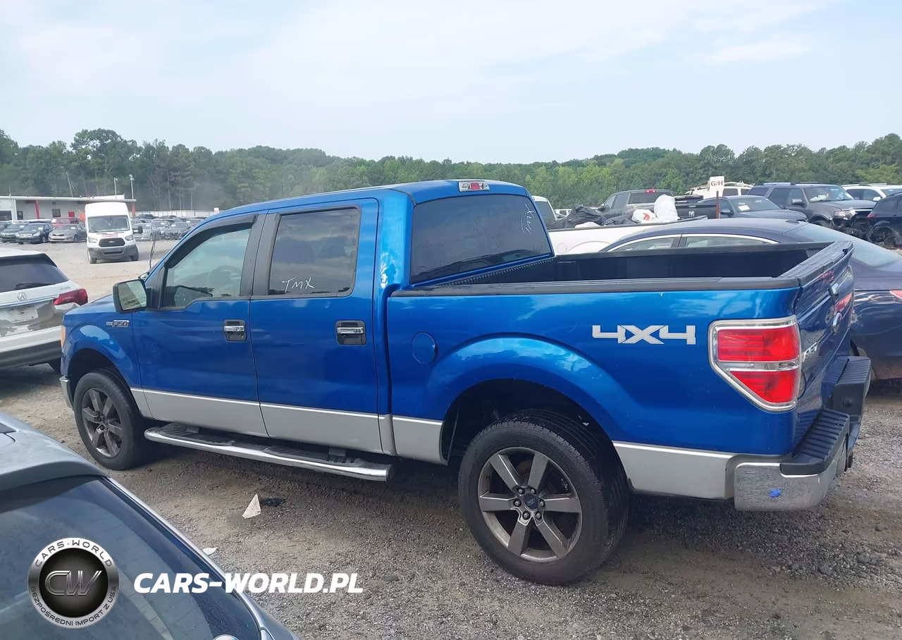 2010 Ford F-150 Xl-Xlt VIN:1FTEW1E86AFD49316 - 14