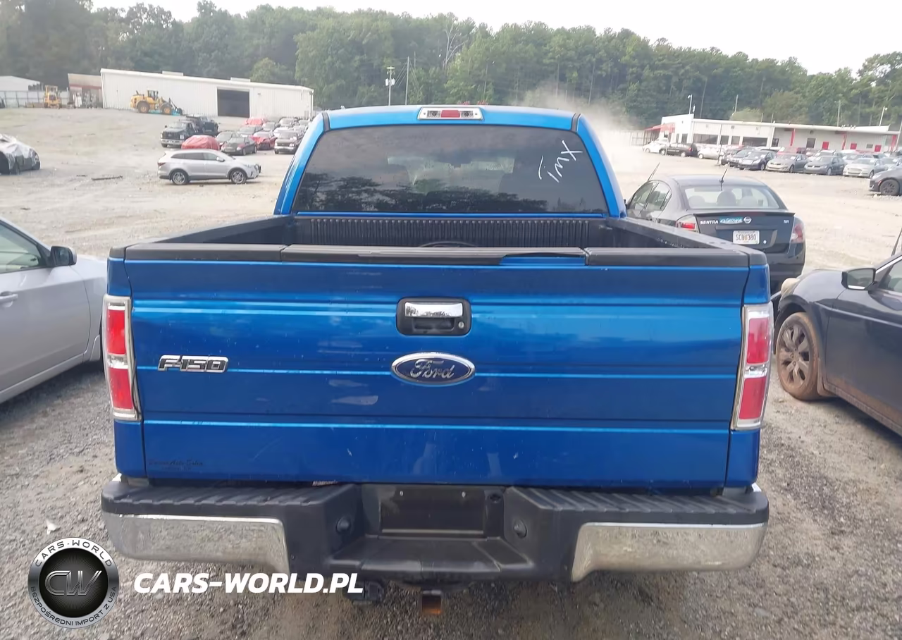 2010 Ford F-150 Xl-Xlt VIN:1FTEW1E86AFD49316 - 16