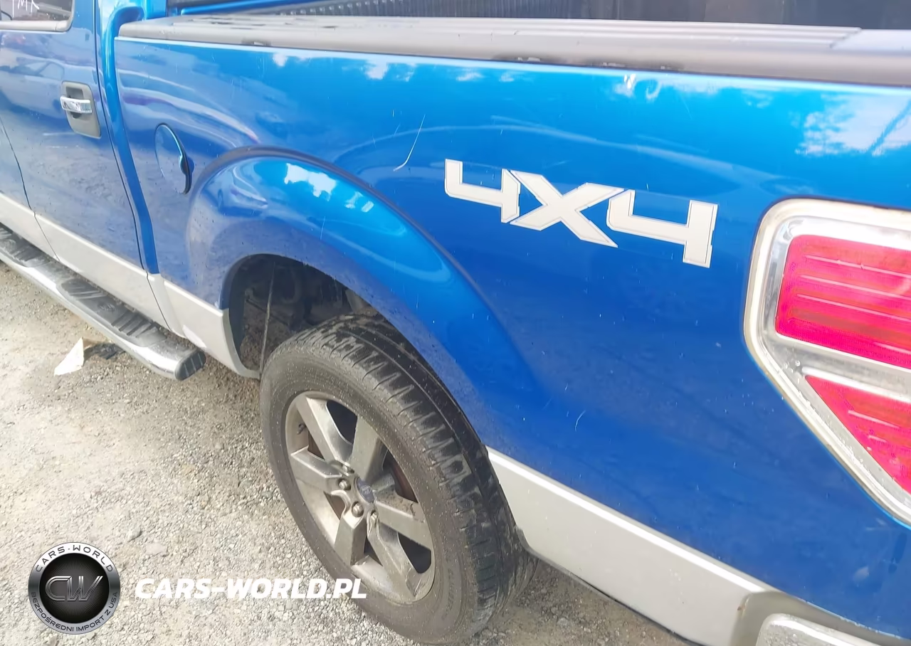 2010 Ford F-150 Xl-Xlt VIN:1FTEW1E86AFD49316 - 17