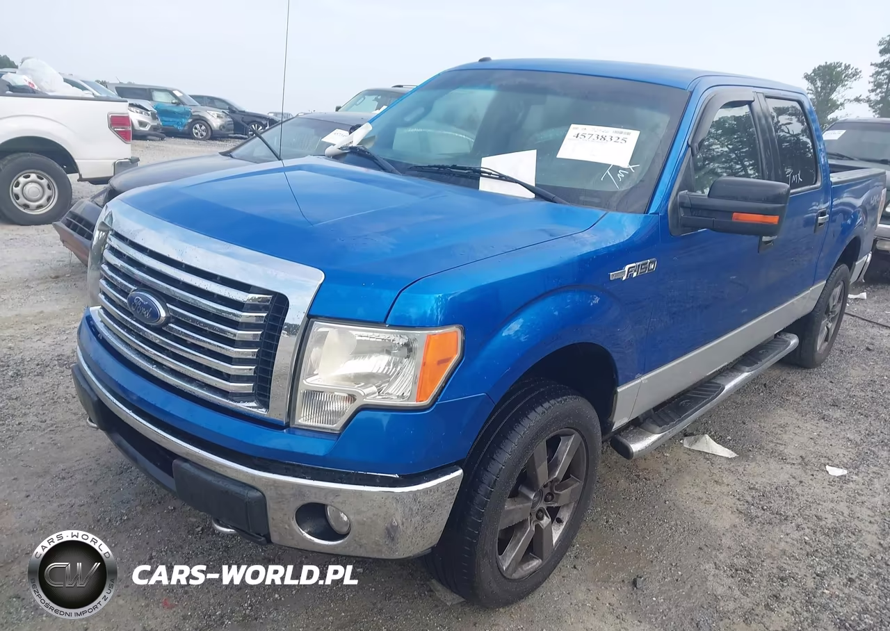 2010 Ford F-150 Xl-Xlt VIN:1FTEW1E86AFD49316 - 2