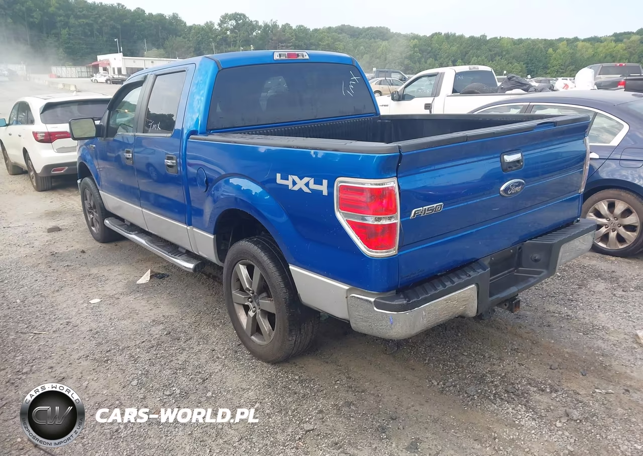 2010 Ford F-150 Xl-Xlt VIN:1FTEW1E86AFD49316 - 3