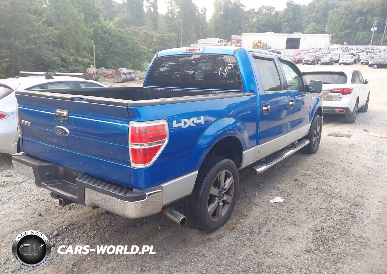 2010 Ford F-150 Xl-Xlt VIN:1FTEW1E86AFD49316 - 4