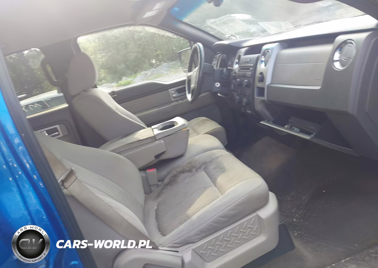 2010 Ford F-150 Xl-Xlt VIN:1FTEW1E86AFD49316 - 5
