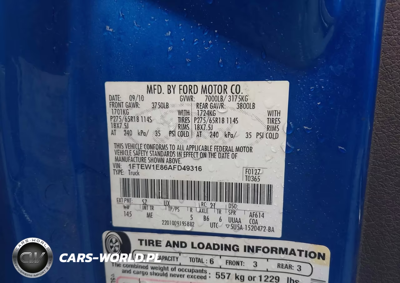 2010 Ford F-150 Xl-Xlt VIN:1FTEW1E86AFD49316 - 9