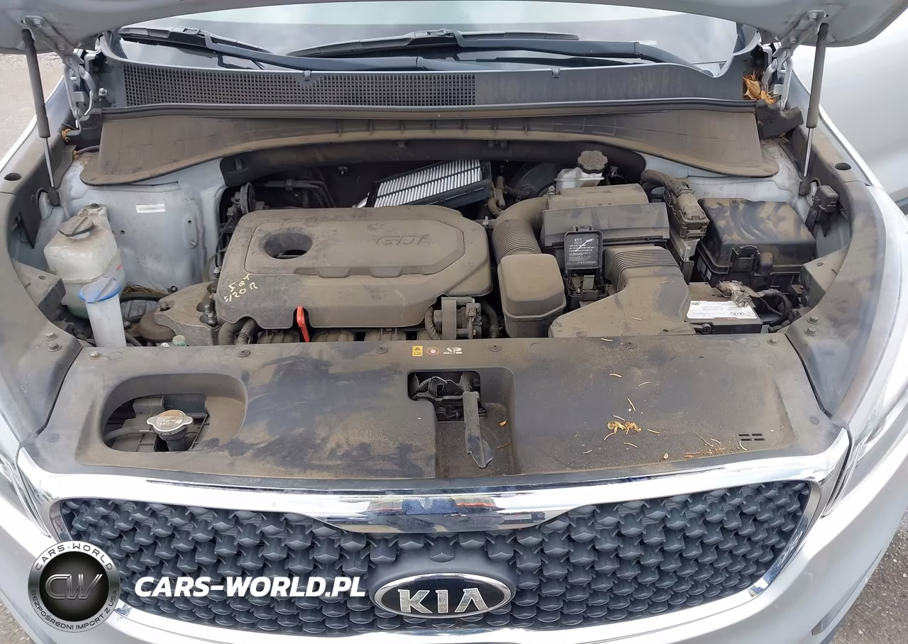 2016 Kia Sorento 2.4L L VIN:5XYPG4A3XGG005706 - 10