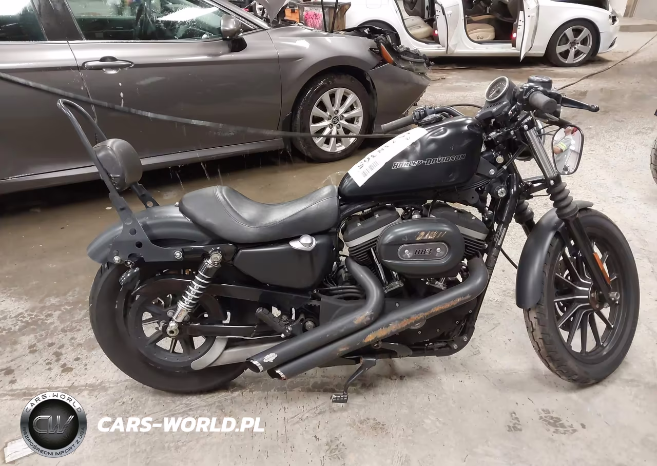 2009 Harley-Davidson Xl883 N VIN:1HD4LE2419K457731 - 11